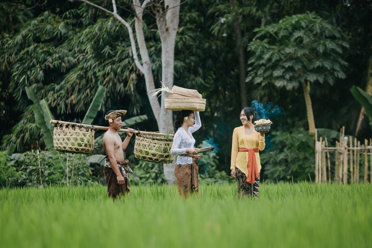 Candy Villa By Pramana Villas Ubud Eksteriør billede