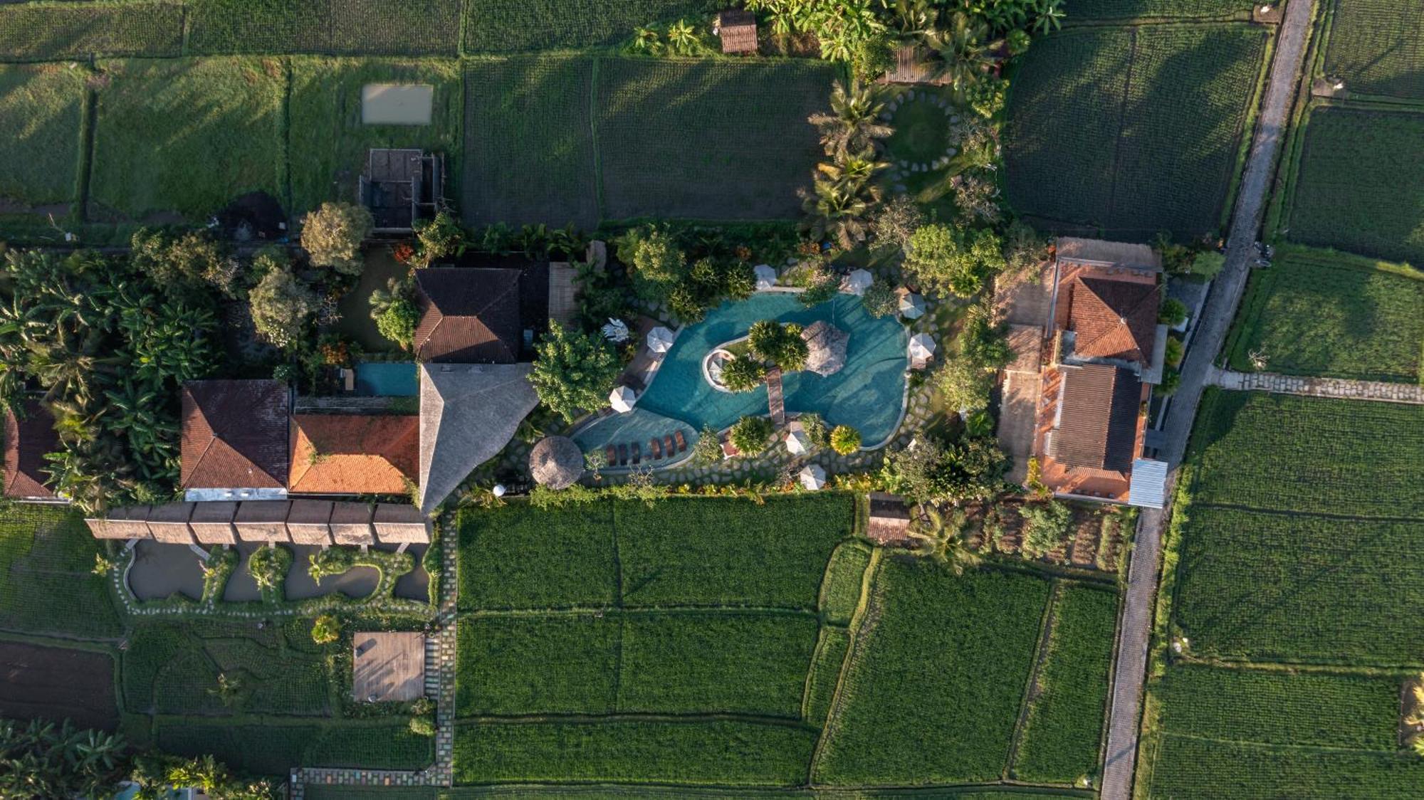 Candy Villa By Pramana Villas Ubud Eksteriør billede